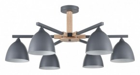 Люстра на штанге Lumion Colange 8096/6C в Александровском - alexsandrovskoe.mebel24.online | фото