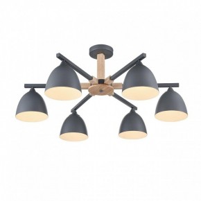 Люстра на штанге Lumion Colange 8096/6C в Александровском - alexsandrovskoe.mebel24.online | фото 3