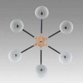 Люстра на штанге Lumion Colange 8096/6C в Александровском - alexsandrovskoe.mebel24.online | фото 4