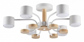 Люстра на штанге Lumion Rondo 8231/6C в Александровском - alexsandrovskoe.mebel24.online | фото