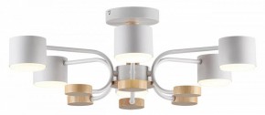 Люстра на штанге Lumion Rondo 8231/6C в Александровском - alexsandrovskoe.mebel24.online | фото 2