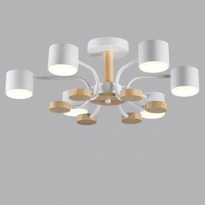 Люстра на штанге Lumion Rondo 8231/6C в Александровском - alexsandrovskoe.mebel24.online | фото 4