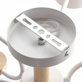 Люстра на штанге Lumion Rondo 8231/6C в Александровском - alexsandrovskoe.mebel24.online | фото 6
