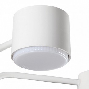 Люстра на штанге Lumion Rondo 8231/6C в Александровском - alexsandrovskoe.mebel24.online | фото 7