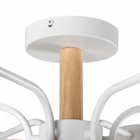 Люстра на штанге Lumion Rondo 8231/6C в Александровском - alexsandrovskoe.mebel24.online | фото 8