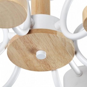 Люстра на штанге Lumion Rondo 8231/6C в Александровском - alexsandrovskoe.mebel24.online | фото 9