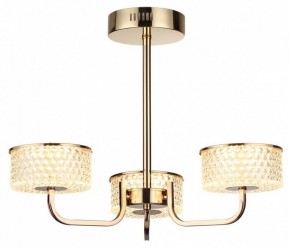 Люстра на штанге Lumion Venice 6579/40CL в Александровском - alexsandrovskoe.mebel24.online | фото 5