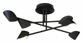 Люстра на штанге Mantra Capuccina 7581 в Александровском - alexsandrovskoe.mebel24.online | фото 1