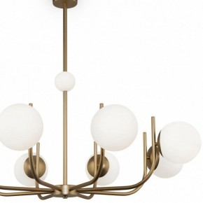 Люстра на штанге Maytoni Rendez-vous MOD109PL-08BS в Александровском - alexsandrovskoe.mebel24.online | фото 4
