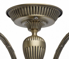 Люстра на штанге MW-Light Аманда 6 481011805 в Александровском - alexsandrovskoe.mebel24.online | фото 10