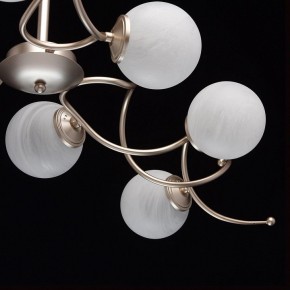 Люстра на штанге MW-Light Оливия 5 306012709 в Александровском - alexsandrovskoe.mebel24.online | фото 10