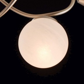 Люстра на штанге MW-Light Оливия 5 306012709 в Александровском - alexsandrovskoe.mebel24.online | фото 6