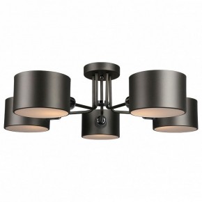 Люстра на штанге Omnilux Lisera OML-54507-05 в Александровском - alexsandrovskoe.mebel24.online | фото 2