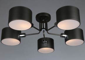 Люстра на штанге Omnilux Lisera OML-54507-05 в Александровском - alexsandrovskoe.mebel24.online | фото 3