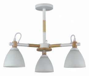 Люстра на штанге Rivoli Louise Б0060982 в Александровском - alexsandrovskoe.mebel24.online | фото