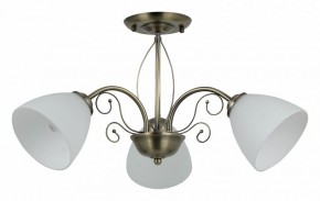Люстра на штанге Rivoli Sue Б0060985 в Александровском - alexsandrovskoe.mebel24.online | фото