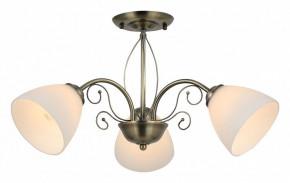 Люстра на штанге Rivoli Sue Б0060985 в Александровском - alexsandrovskoe.mebel24.online | фото 2