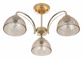 Люстра на штанге Rivoli Terri Б0060988 в Александровском - alexsandrovskoe.mebel24.online | фото 2