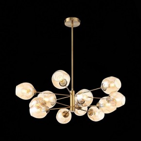 Люстра на штанге ST-Luce Fovia SL1500.203.12 в Александровском - alexsandrovskoe.mebel24.online | фото 4