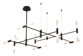 Люстра на штанге ST-Luce  SL1216.403.16 в Александровском - alexsandrovskoe.mebel24.online | фото 2