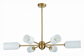 Люстра на штанге ST-Luce Treviso SL1180.202.06 в Александровском - alexsandrovskoe.mebel24.online | фото 2