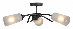 Люстра на штанге Vitaluce V2850 V2850-1/3PL в Александровском - alexsandrovskoe.mebel24.online | фото 3