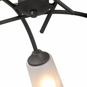 Люстра на штанге Vitaluce V2850 V2850-1/5PL в Александровском - alexsandrovskoe.mebel24.online | фото 6