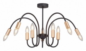 Люстра на штанге Vitaluce V3026 V3026-1/10PL в Александровском - alexsandrovskoe.mebel24.online | фото 2