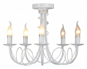 Люстра на штанге Vitaluce V3035 V3035-0/5PL в Александровском - alexsandrovskoe.mebel24.online | фото 2