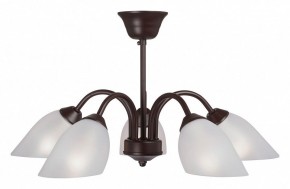 Люстра на штанге Vitaluce V3335 V3335-7/5PL в Александровском - alexsandrovskoe.mebel24.online | фото