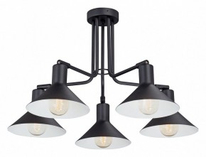 Люстра на штанге Vitaluce V4809 V4809-1/5PL в Александровском - alexsandrovskoe.mebel24.online | фото