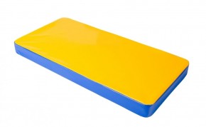 Мат гимнастический 1х0,5х0,08м цв. синий-желтый в Александровском - alexsandrovskoe.mebel24.online | фото