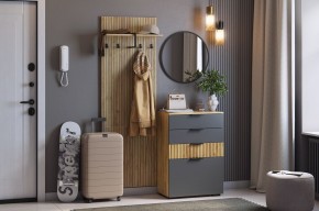 МЕБЕЛЬСОН К3 Прихожая в Александровском - alexsandrovskoe.mebel24.online | фото 2