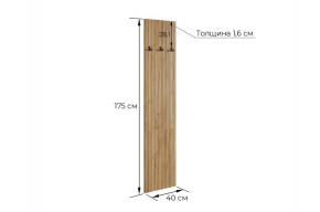 МЕБЕЛЬСОН К6 Прихожая в Александровском - alexsandrovskoe.mebel24.online | фото 6