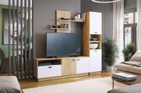 МОДИ К1 Гостиная (белое дерево) в Александровском - alexsandrovskoe.mebel24.online | фото
