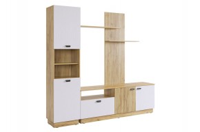 МОДИ К1 Гостиная (белое дерево) в Александровском - alexsandrovskoe.mebel24.online | фото 6