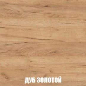 МСП-1 Шкаф 2-х створчатый (Дуб Золотой/Камень темный) в Александровском - alexsandrovskoe.mebel24.online | фото 4