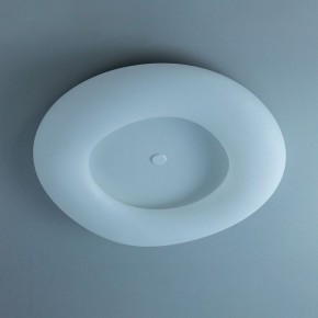 Накладной светильник Citilux Стратус Смарт CL732A800G в Александровском - alexsandrovskoe.mebel24.online | фото 10
