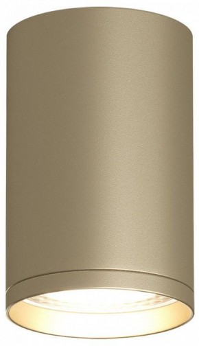 Накладной светильник Denkirs TUBE DK2050-SG в Александровском - alexsandrovskoe.mebel24.online | фото 2