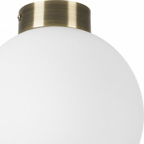 Накладной светильник Lightstar Globo 812021 в Александровском - alexsandrovskoe.mebel24.online | фото 3
