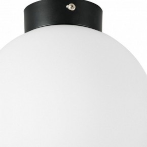 Накладной светильник Lightstar Globo 812027 в Александровском - alexsandrovskoe.mebel24.online | фото 2