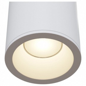 Накладной светильник Maytoni Zoom C029CL-01W в Александровском - alexsandrovskoe.mebel24.online | фото 4
