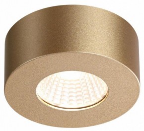 Накладной светильник Odeon Light Bene 4284/7CL в Александровском - alexsandrovskoe.mebel24.online | фото 4
