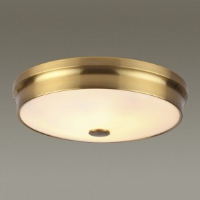 Накладной светильник Odeon Light Marsei 4824/4C в Александровском - alexsandrovskoe.mebel24.online | фото 2