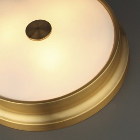 Накладной светильник Odeon Light Marsei 4824/4C в Александровском - alexsandrovskoe.mebel24.online | фото 5