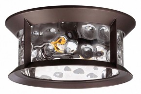 Накладной светильник Odeon Light Mavret 4961/2C в Александровском - alexsandrovskoe.mebel24.online | фото 1