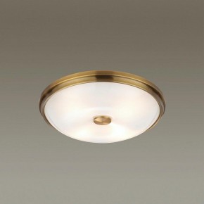 Накладной светильник Odeon Light Pelow 4956/4 в Александровском - alexsandrovskoe.mebel24.online | фото 2