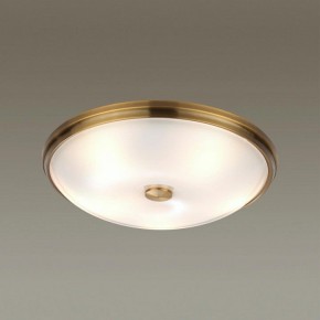 Накладной светильник Odeon Light Pelow 4956/5 в Александровском - alexsandrovskoe.mebel24.online | фото 2