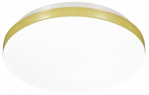 Накладной светильник Sonex Smalli 3066/AL в Александровском - alexsandrovskoe.mebel24.online | фото 4
