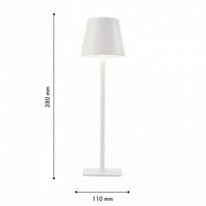 Настольная лампа декоративная F-promo Pyari 4614-1T в Александровском - alexsandrovskoe.mebel24.online | фото 3